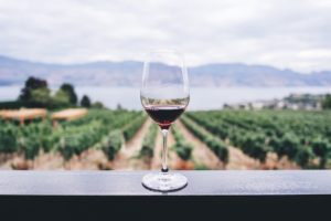 Beginner's Guide to Red Wine