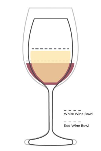 Wine glass diagram