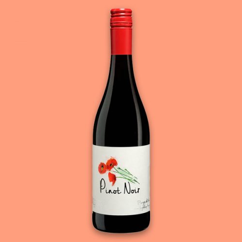 Best Pinot Noir Under $20